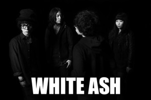 WHITE ASH01